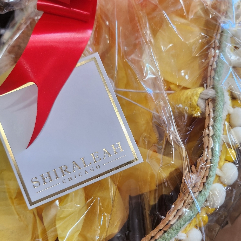 Shiraleah Chicago Tote Bag - Picture 5 of 6